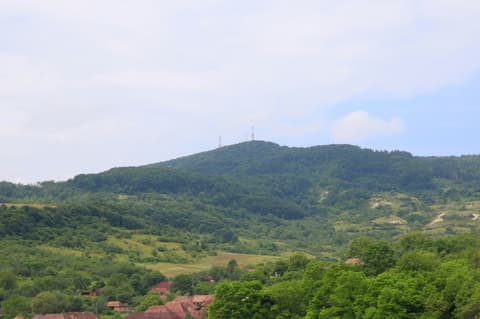 Srbsko